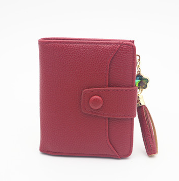 Chic Zipper Wallet for Women